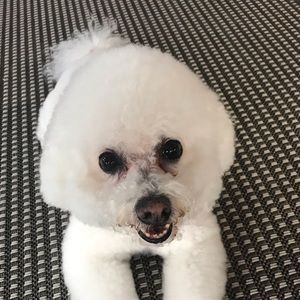 Meet your Posher, Rebecca